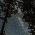 Обзор новинок планетариев SegaToys в 2025 году image_773.jpg